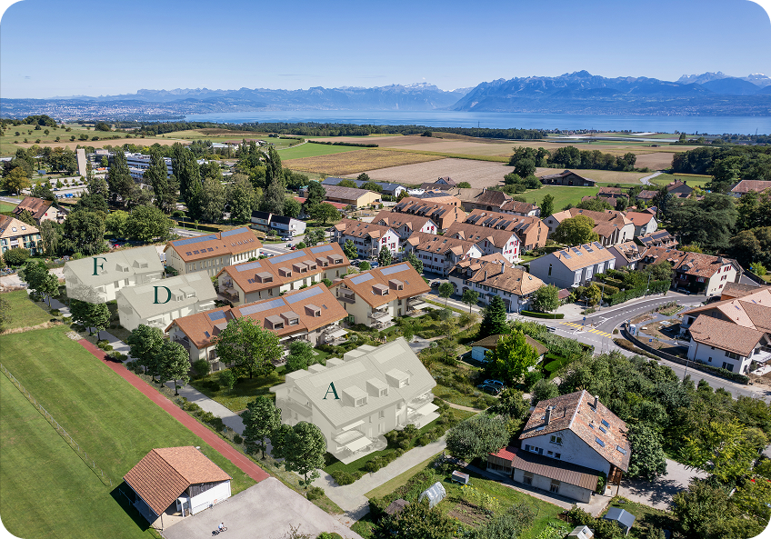 Quartier